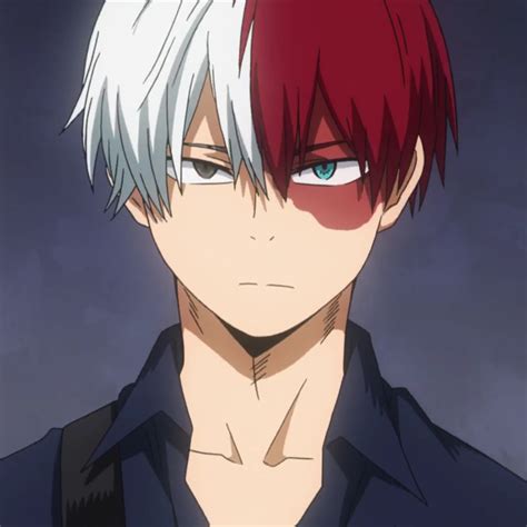 pictures of todoroki